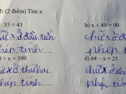 Giáo dục - du học - Đứa bé tiểu học giải bài toán tìm x, đáp án khiến người lớn &quot;tím mặt&quot;: Sai mà cũng đúng!