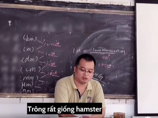 Cười quặn ruột với bài văn tả thầy giáo lùn, béo như chuột Hamster, câu cuối lầy đến mức thầy dằn mặt: Lát gặp riêng nhé!