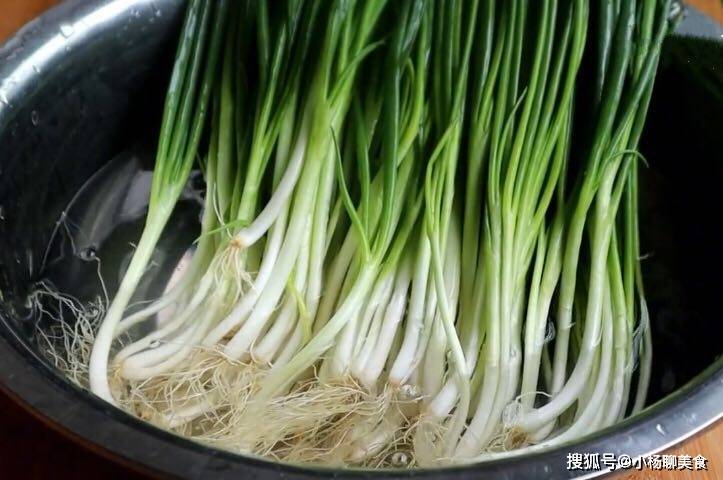 Tips for Preserving Green Onions - Keep Fresh for a Whole Month - 1