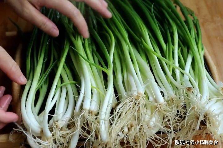 Tips for Preserving Green Onions - Keep Fresh for a Whole Month - 2