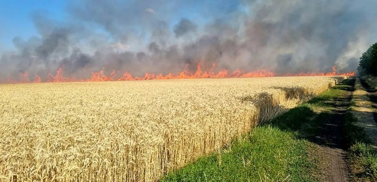 Cánh đồng lúa mì ở Ukraine bốc cháy khi đến mùa thu hoạch (ảnh: CNN)