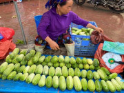 Thị trường - Tiêu dùng - Dưa chuột “siêu to khổng lồ” xuống núi, giá đắt gấp 3 lần vẫn hút khách Hà thành