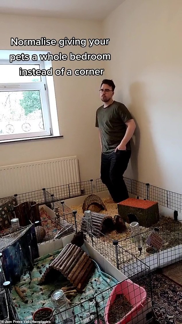 Ben Males đã tạo ra một cái hang khổng lồ cho những chú chuột lang bằng cách sử dụng một trong hai phòng ngủ trong ngôi nhà