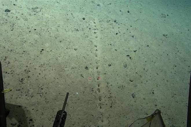Hàng lỗ bí ẩn dưới đáy biển được phát hiện hôm 23-7. Ảnh: NOAA/New York Times