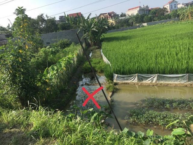 Giăng bẫy điện diệt chuột, người đàn ông hại chết hàng xóm trong đêm