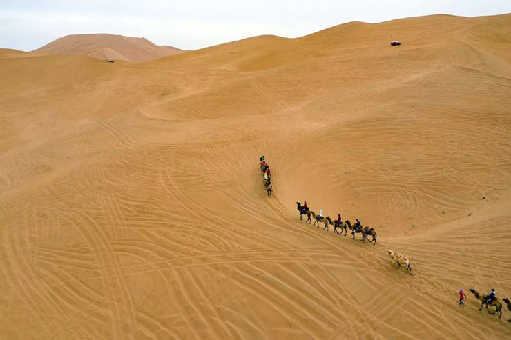 4. Khi tới đây, du khách có thể nhìn thấy những đụn cát cao ngất ngưỡng lên tới 500m.
