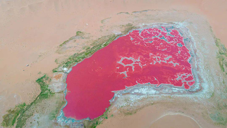 9. Màu hồng của hồ nước được hình thành do bởi các khoáng chất và muối kết tinh dưới đáy hồ.
