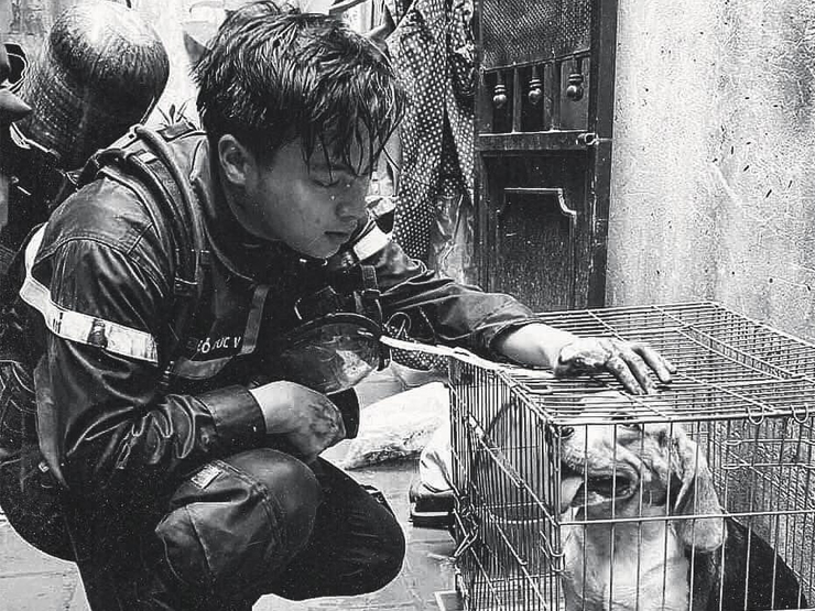 Sao Việt nghẹn lòng bày tỏ cảm xúc về 3 chiến sĩ PCCC hy sinh trong vụ cháy lớn