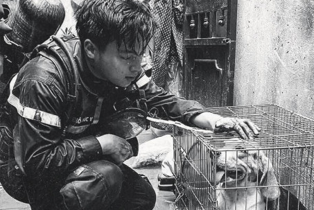 Sao Việt nghẹn lòng bày tỏ cảm xúc về 3 chiến sĩ PCCC hy sinh trong vụ cháy lớn