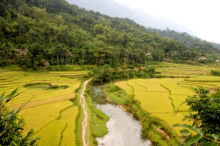 Khu bảo tồn thiên nhiên Pù Luông, Việt Nam: Là nơi tập hợp các làng dân tộc thiểu số và phong cảnh tuyệt đẹp, Pù Luông giống như một bức tranh đầy ấn tượng. Những ngọn đồi nhấp nhô, cánh đồng lúa trải dài&nbsp;khiến nơi đây trở thành một trong những viên ngọc ẩn đẹp như tranh vẽ.
