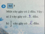 Bạn trẻ - Cuộc sống - Bài toán tiểu học &quot;1/2 cây gậy có mấy đầu&quot; khiến cộng đồng mạng tranh cãi dữ dội