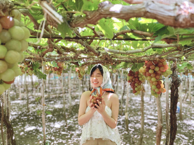 ‘Nhuộm da’ ở vùng đất đầy nắng gió, cùng cung đường biển đắm say lòng người - 1