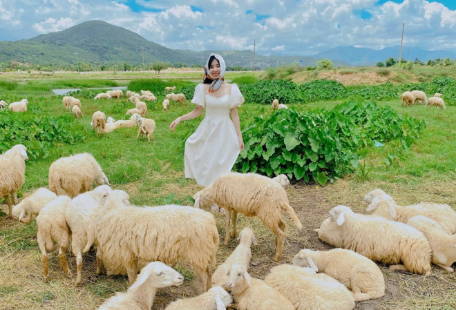 ‘Nhuộm da’ ở vùng đất đầy nắng gió, cùng cung đường biển đắm say lòng người - 16