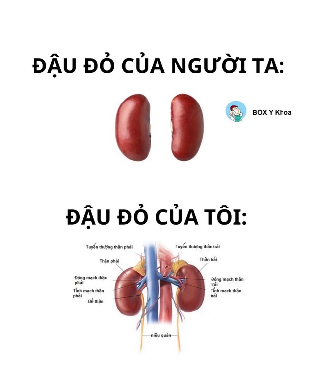 Dù đã chăm chỉ ăn đậu đỏ mỗi mùa Thất tịch, sinh viên Y vẫn chưa "thoát ế" và cái kết! Ảnh: Box Y Khoa