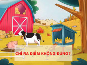 Bạn trẻ - Cuộc sống - Mắt cú cũng phải đầu hàng loạt bài quiz sau