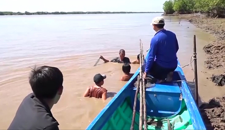 Hiện cá ngát trong tự nhiên ngày càng khan hiếm, ngày nào may mắn thì những ngư dân ở đây cũng chỉ được tầm chục kg
