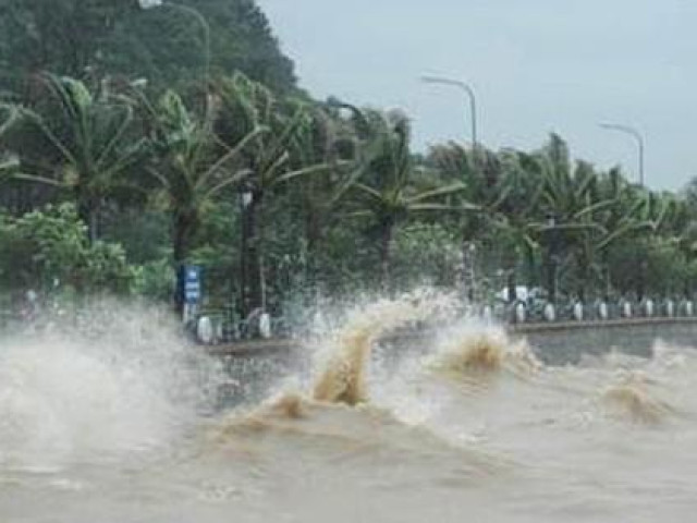 Hình thành vùng áp thấp trên Biển Đông, dự báo mạnh lên ATNĐ