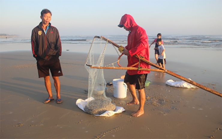 Mỗi bao thương lái thu mua khoảng 500.000 đồng/bao. Sau khi trừ tất cả chi phí, mỗi người có thể kiếm được từ 3-4 triệu đồng/ngày.
