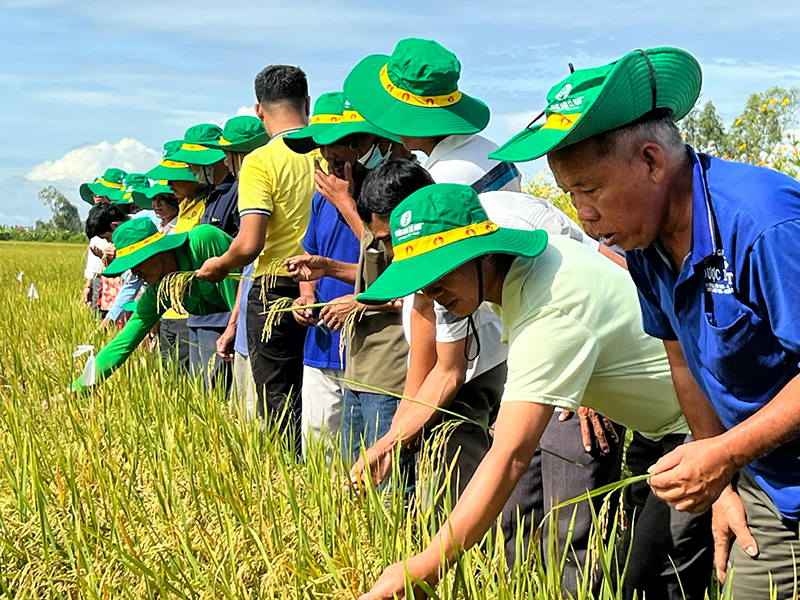 Bà con nông dân tại Chợ Mới - An Giang hào hứng tham quan mô hình&nbsp;