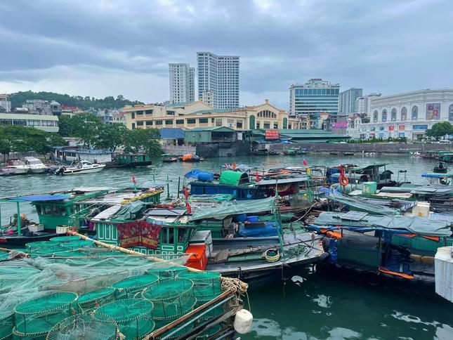 Trước thông tin dự báo ảnh hưởng của cơn bão số 2, ngay từ sáng ngày 10/8, nhiều phương tiện tàu cá của Quảng Ninh đã nhanh chóng về nơi tránh trú an toàn.