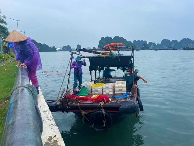 Trời càng về chiều, Hạ Long có mưa nhẹ và kèm theo gió. Nhiều ngư dân tranh thủ vào bờ tránh trú bão.