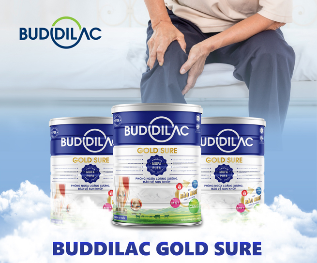 Buddilac Gold Sure - sản phẩm dinh dưỡng với công thức đột phá giúp xương khớp chắc khỏe - 3