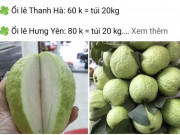 Thị trường - Tiêu dùng - Bất ngờ ổi ngập chợ với giá chỉ 3.000 đồng/kg, chị em rủ nhau mua cả yến