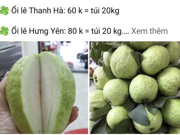 Bất ngờ ổi ngập chợ với giá chỉ 3.000 đồng/kg, chị em rủ nhau mua cả yến