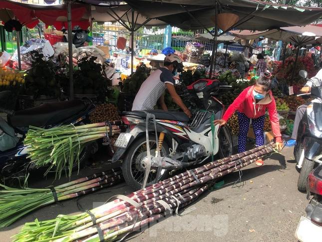 Mía cây đắt hàng, giá từ 30.000 đồng/cây nhưng tiểu thương cũng chỉ có số lượng ít