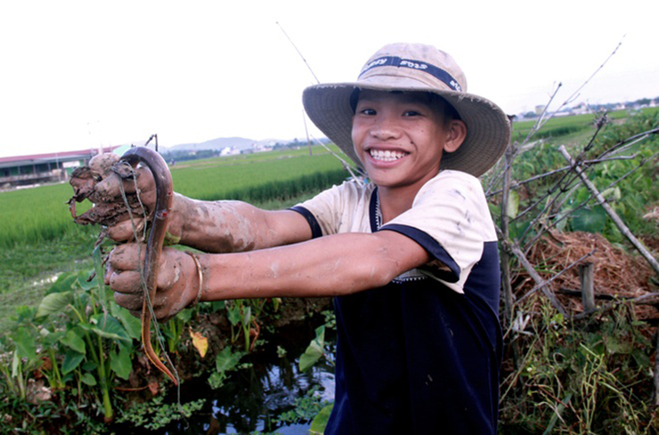 Trước đây, lươn đồng là món ăn dân dã, người dân tranh thủ đi bắt về sau khi đi làm đồng để ăn &#34;cứu đói&#34;
