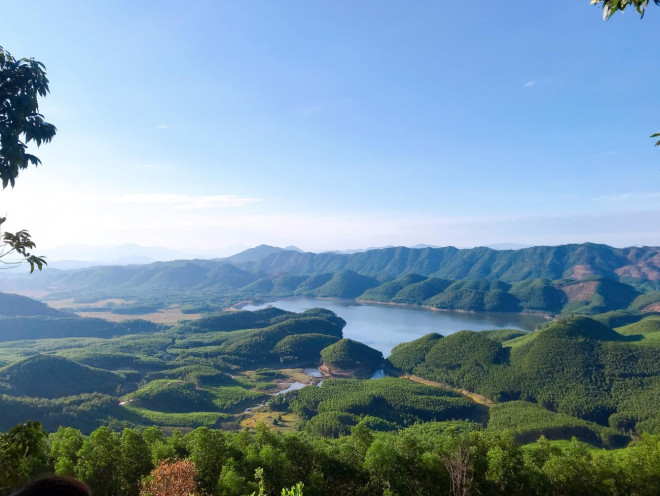 Nhìn xung quanh đâu đâu cũng có cây xanh. Ảnh: Tường Vy Nguyễn