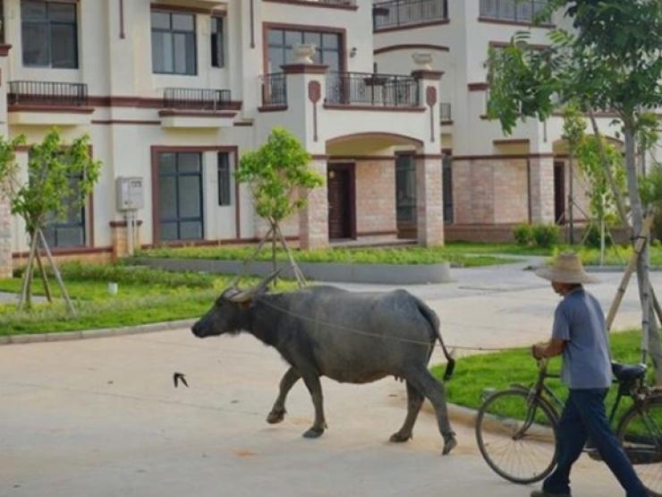 Làng nghèo ”đổi đời”, mỗi hộ nông dân được phát một biệt thự tiền tỷ