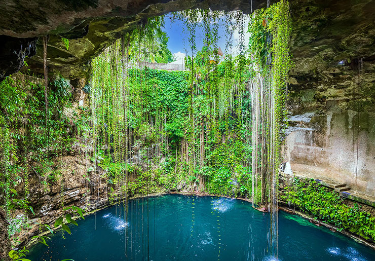 4. Cenotes là những hố sụt được hình thành do sự sụp đổ của một bức tường đá vôi mà nước mưa xâm nhập vào đó, sau đó tạo ra sự sống cho những giếng nước bên dưới.
