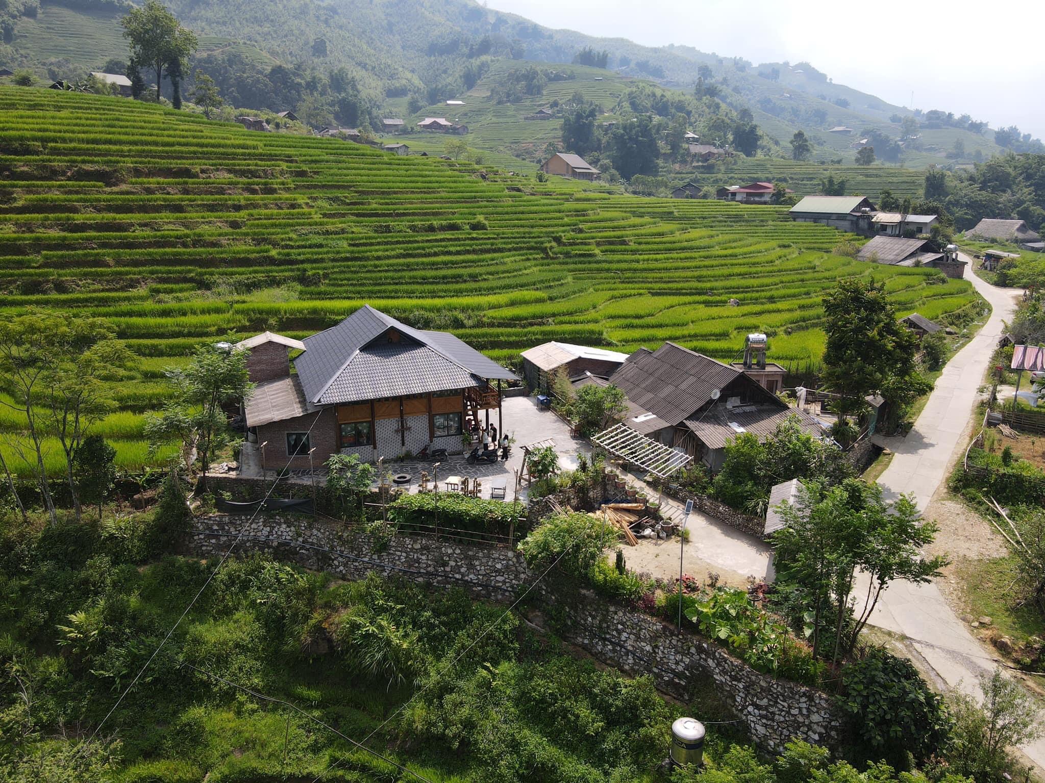 Chiêm ngưỡng những thửa ruộng bậc thang Sa Pa đẹp nhất thế giới - 7