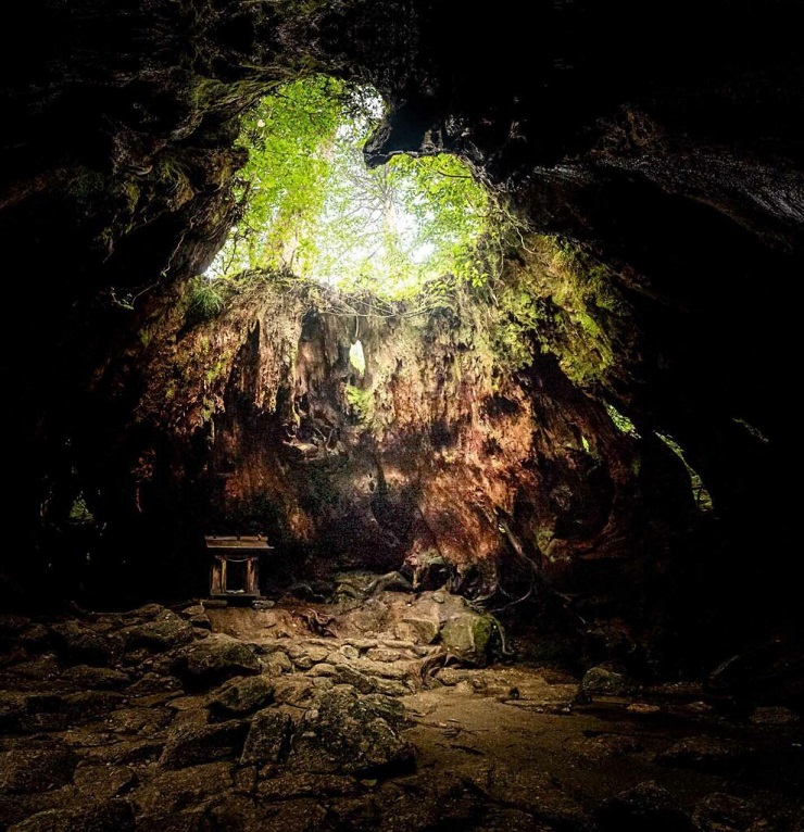 Yakushima – khu rừng tuyết tùng tuyệt đẹp là bối cảnh của bộ phim Công chúa Mononoke nổi tiếng - 7