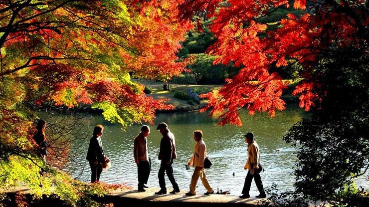 Là một trong những đô thị hiện đại và nhộn nhịp nhất thế giới, Tokyo càng ấn tượng với phong cảnh mùa thu lãng mạn cùng sự kết hợp giữa vẻ nhộn nhịp của khu vực trung tâm với sự yên tĩnh của các vùng ngoại ô xung quanh để mang lại một trải nghiệm tuyệt vời cho chuyến hành trình của bạn.
