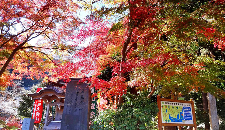 Núi Takao (Takaosan): Đây là nơi lý tưởng để trekking và ngắm lá vàng, đỏ và cam vào mùa thu ở Tokyo. Từ núi Takao, bạn có thể quan sát thành phố Tokyo và núi Phú Sĩ.&nbsp;
