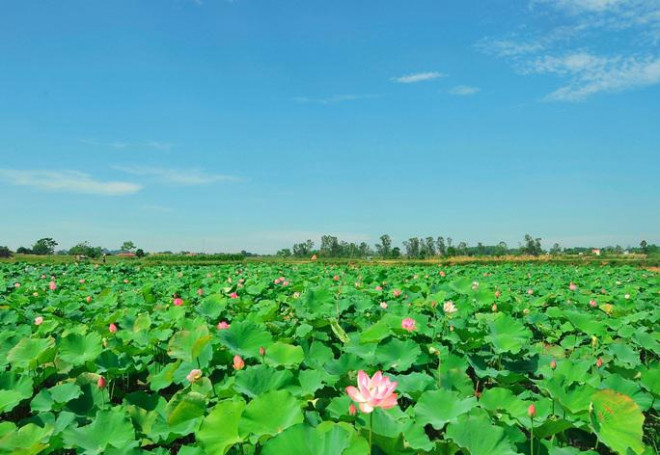 Ngỡ ngàng trước khung cảnh thanh bình ở di sản Thành nhà Hồ - 15