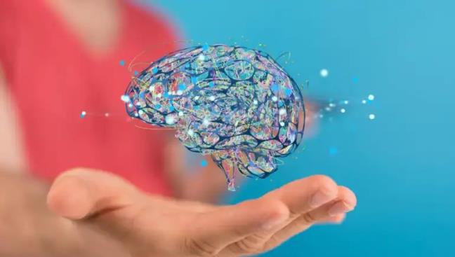 Khi bắt đầu tuổi trung niên và về già, bạn không tránh khỏi việc trí nhớ bị suy giảm mà bệnh teo não chính là nguyên nhân sâu xa.
