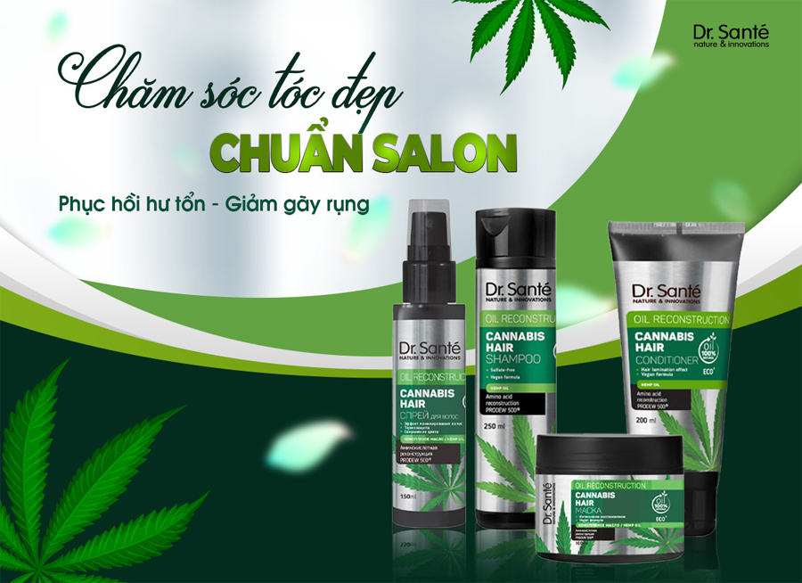 Chăm sóc và phục hồi tóc uốn nhuộm với bộ sản phẩm chiết xuất thiên nhiên Cannabis Hair - 1