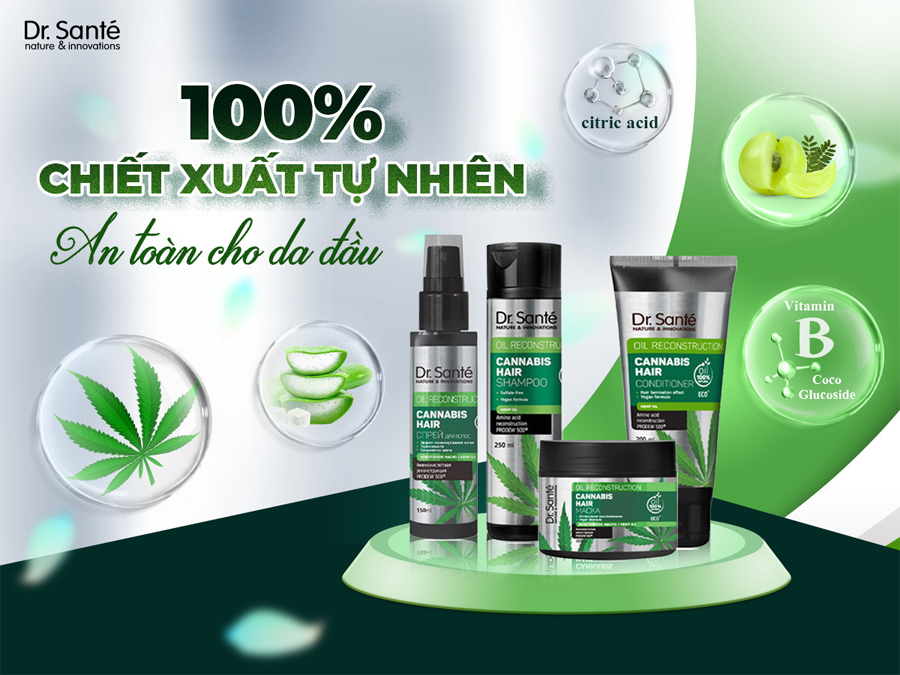 Chăm sóc và phục hồi tóc uốn nhuộm với bộ sản phẩm chiết xuất thiên nhiên Cannabis Hair - 3