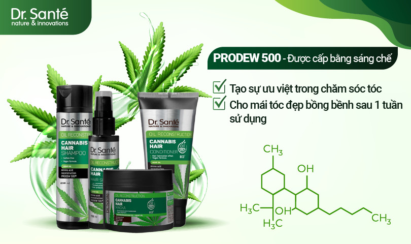 Chăm sóc và phục hồi tóc uốn nhuộm với bộ sản phẩm chiết xuất thiên nhiên Cannabis Hair - 2