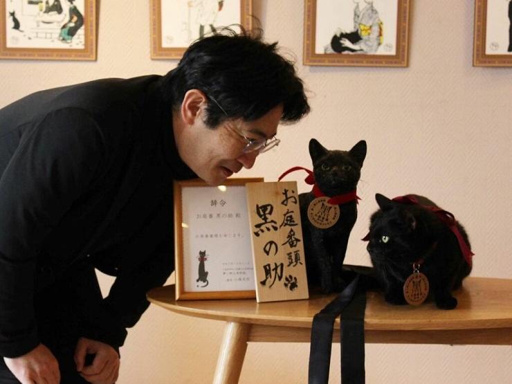 Bảo tàng nghệ thuật độc đáo ở Nhật Bản được bảo vệ bởi một chú mèo đen