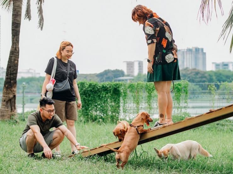 Công viên dành cho thú cưng mở cửa miễn phí, hút hàng trăm lượt “khách” mỗi ngày