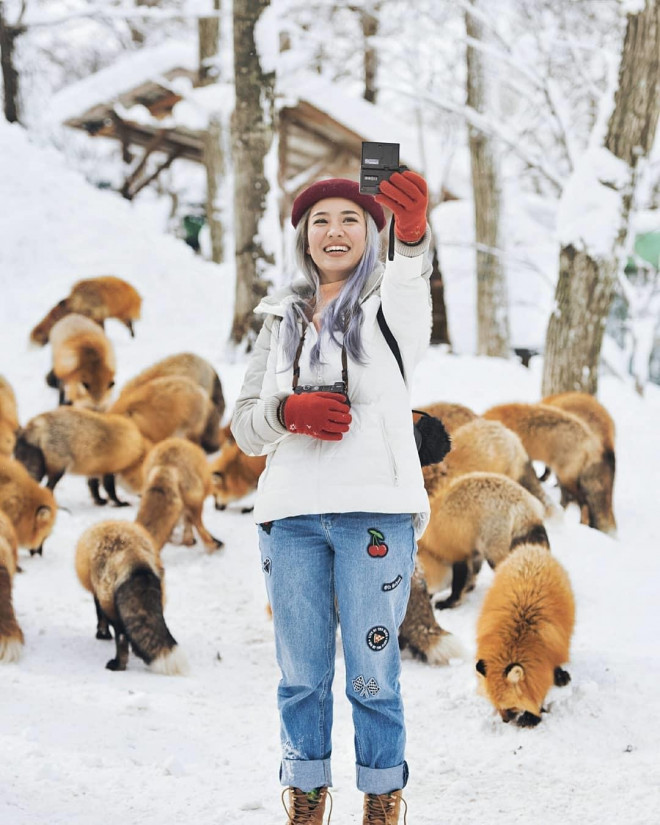 Thích thú với ngôi làng có hàng trăm con cáo béo ở Nhật Bản - 10