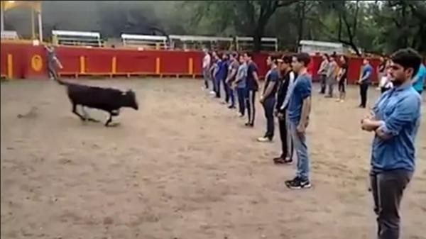 Thầy giáo ở Mexico gây tranh cãi khi bắt sinh viên xếp thành 3 hàng ngay trước mặt bò tót - 1