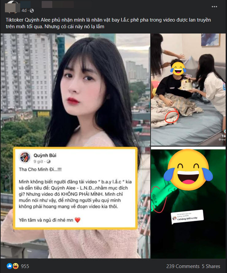 "Thám tử mạng" chưa buông tha nữ TikToker Quỳnh Alee liên quan clip gây xôn xao - 1