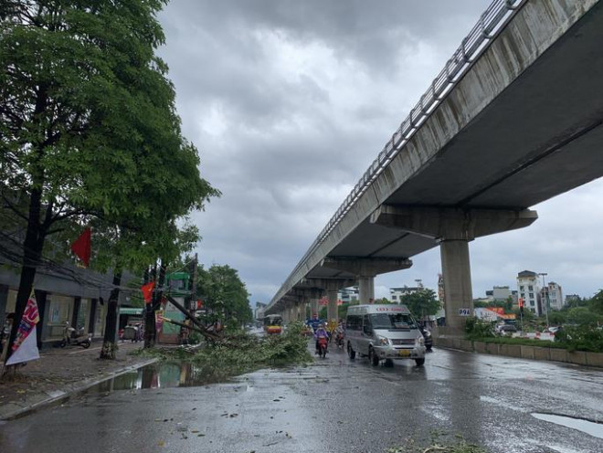 Gió to khiến cây bên đường đổ