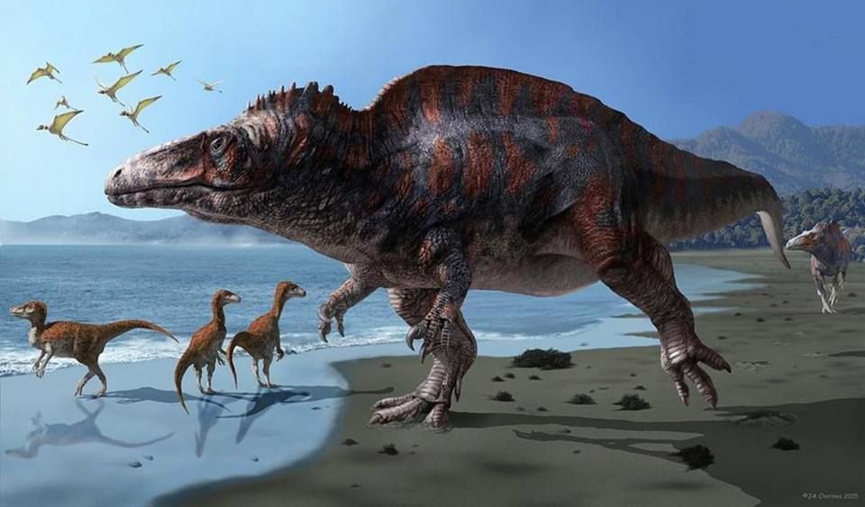 Acrocanthosaurus – loài khủng long săn mồi khổng lồ thời cổ đại (ảnh: Science)