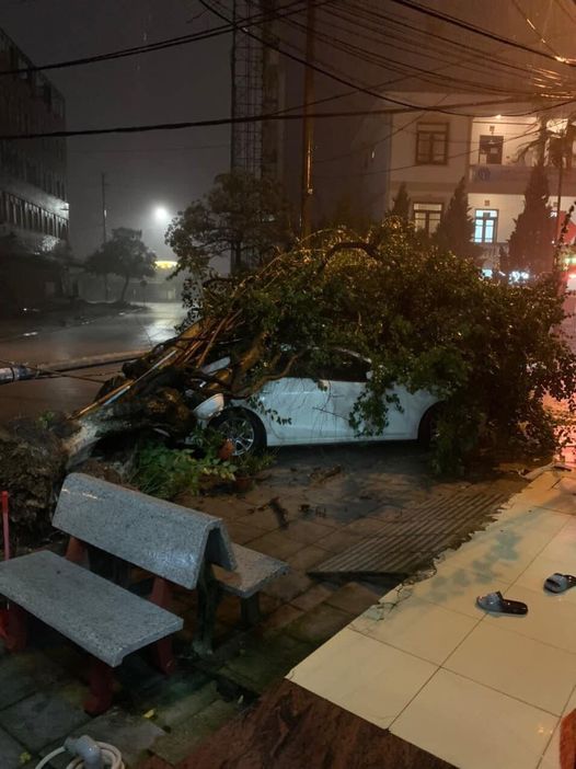 Cây xanh và cột đèn đổ, đè trúng ô tô trên đường phố. Ảnh: Lang thang Quảng Ninh